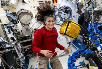 NASA太空人“不会走路了” 残酷复健才要开始