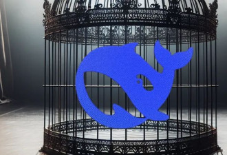 DeepSeek的末日快来了？！OpenAI向白宫提交报告
