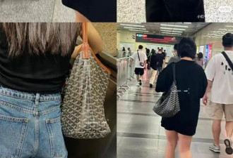 “女高管专用包”，为什么是它？