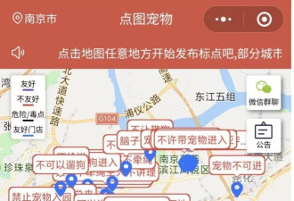 宠物投毒频发：我们该如何与动物共享城市？