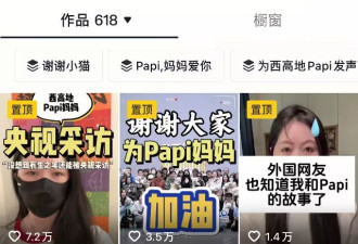 宠物投毒频发：我们该如何与动物共享城市？