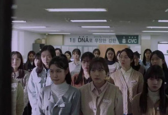 看《编号17》有感：不想再做“狗屁工作”了