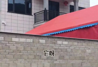 非洲媳妇rose搬新家！摆40桌请全村吃席