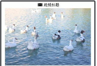 GTC 2025拉开帷幕，英伟达股价还跌了