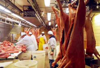 美国输华肉类许可证受限 美中贸易战或升级？