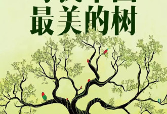 除了漠河舞厅，打卡这座小城还有一个理由