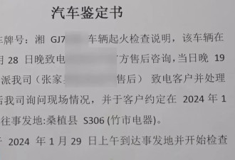 9岁男孩点鞭炮烧车家长被判赔偿，案件始末公布
