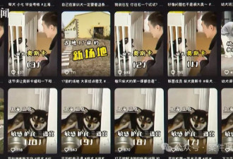 花1.58万送“狗儿子”上学，归来却恶习依旧！