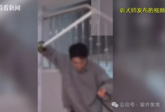 花1.58万送“狗儿子”上学，归来却恶习依旧！