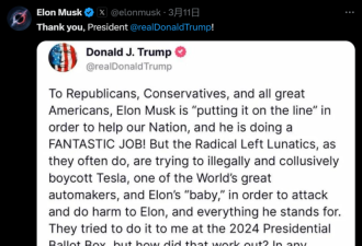 马斯克大败局 开始了?