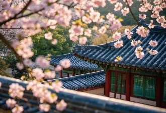 春天 我们一起玩转韩国首尔