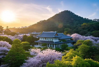 春天 我们一起玩转韩国首尔