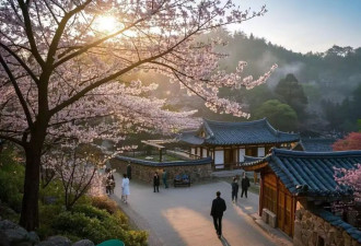 春天 我们一起玩转韩国首尔