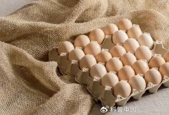 多数“概念蛋”都是营销，在营养上差别不大