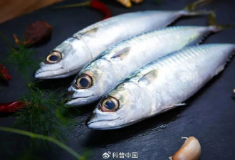多数“概念蛋”都是营销，在营养上差别不大