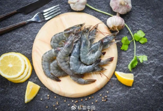 多数“概念蛋”都是营销，在营养上差别不大