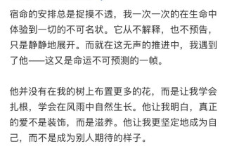 高以翔生前女友结婚,单身四年,一年半前认识现任丈夫