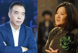 陈凯歌前妻洪晃晒京郊院子,爱马仕被她拍出廉价感