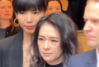章子怡线下生图曝光，医美配"透视装"太掉价