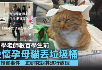 老师在数百学生面前虐杀怀孕母猫 踩爆头丢垃圾桶