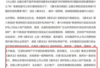 新加坡媒体连发三文 认为骂李嘉诚会破坏营商环境