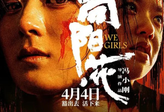 清明档14部电影扎堆 王一博张艺兴赵丽颖张子枫撑场