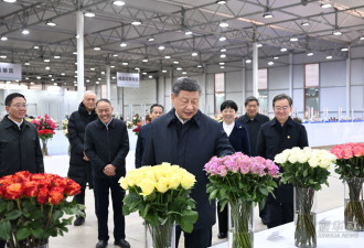 习近平总书记在云南丽江市考察调研....