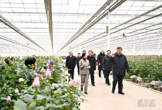 习近平总书记在云南丽江市考察调研....
