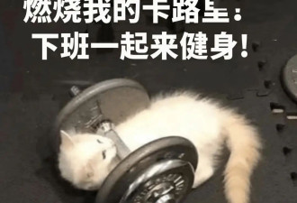 运动也有最佳时间？这个时间运动控血糖效果最好