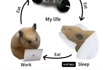 运动也有最佳时间？这个时间运动控血糖效果最好