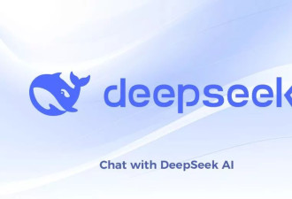 中国政府如何开始用DeepSeek来“治国理政”