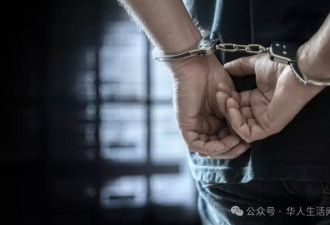 四名华人精心策划，横扫美国十大连锁店”零元购“