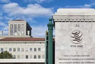 美国在WTO同意和中国、加拿大就关税问题进行磋商