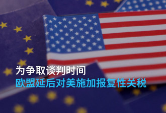 为争取谈判时间 欧盟延后对美加征报复性关税