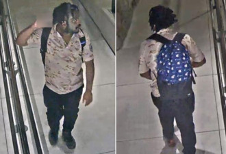 多伦多大学校园60岁男子惨遭随机杀害！警方称凶嫌危险见到打911
