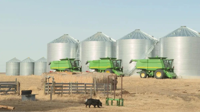 China's 100% tariff on Canadian canola officially comes into effect | WatchNews Videos Online