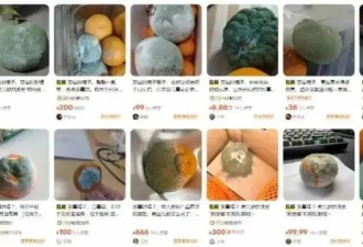 “发霉橘子”突然爆火 卖出天价 专家紧急提醒
