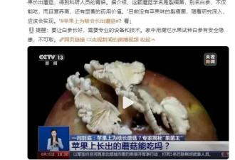 “发霉橘子”突然爆火 卖出天价 专家紧急提醒