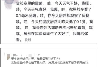 “发霉橘子”突然爆火 卖出天价 专家紧急提醒