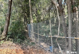 杭州有营地推出“合法打猎”项目？官方介入调查