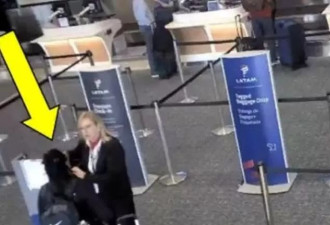 美国女子仅因证件未带齐，机场厕所溺毙爱犬