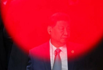 服软了：传习近平考虑拥这招安抚川普