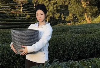 消失3个月后，吴柳芳盛装归来