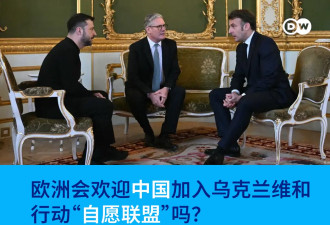 德媒：中国考虑加入乌克兰维和行动“自愿联盟”