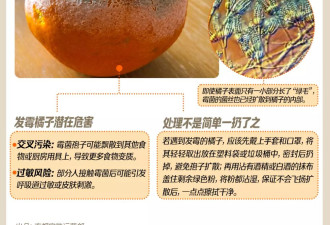 发霉橘子”突然爆火卖出天价，网友称“我直接扔了”