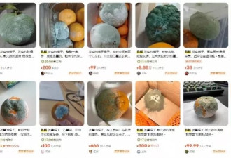 发霉橘子”突然爆火卖出天价，网友称“我直接扔了”