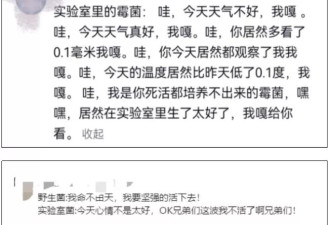 发霉橘子”突然爆火卖出天价，网友称“我直接扔了”