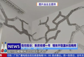 新房变“危房”？广州一小区墙体开裂漏水似蛛网