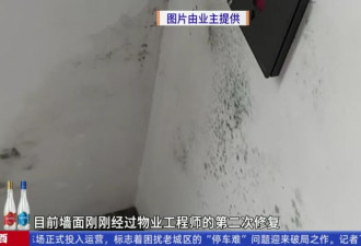 新房变“危房”？广州一小区墙体开裂漏水似蛛网