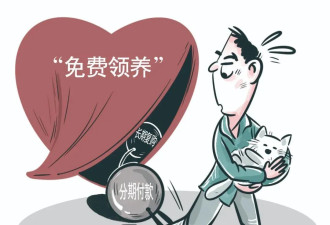 宠物“免费领养”背后究竟多少“坑”等着你